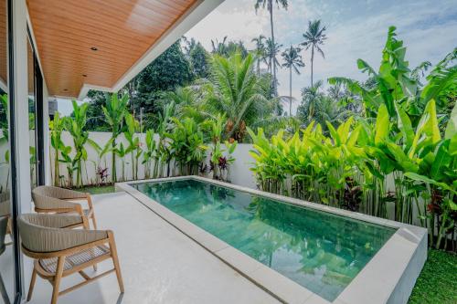 Pool from terrace